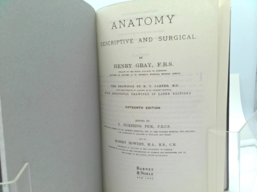 Actual Product Display 2