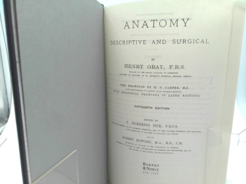 Actual Product Display 2