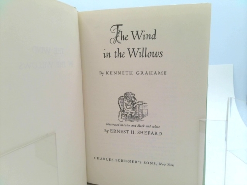 Actual Product Display 2