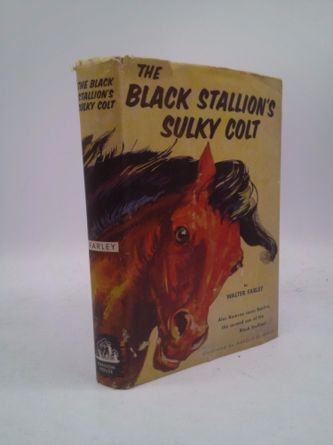 Black Stallion's Sulky Colt