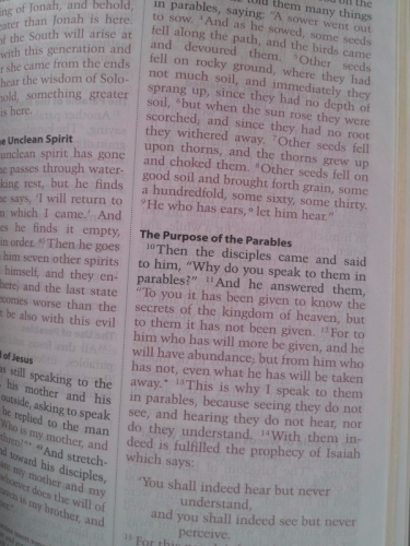 Actual Product Display 3