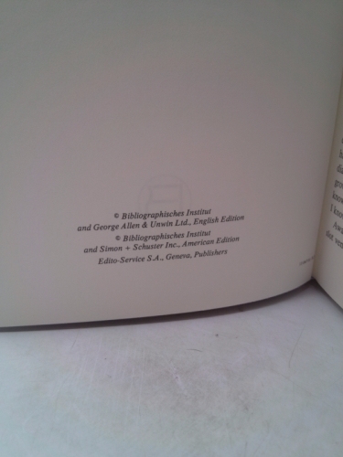 Actual Product Display 2