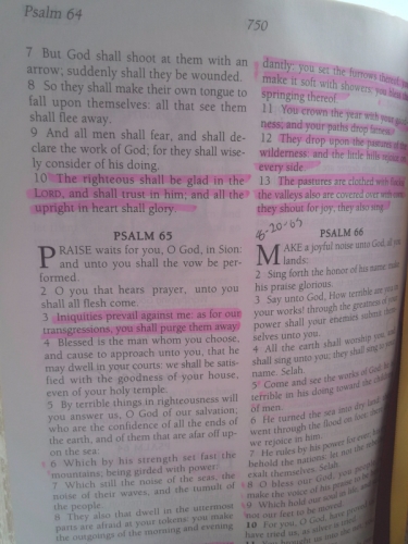 Actual Product Display 4