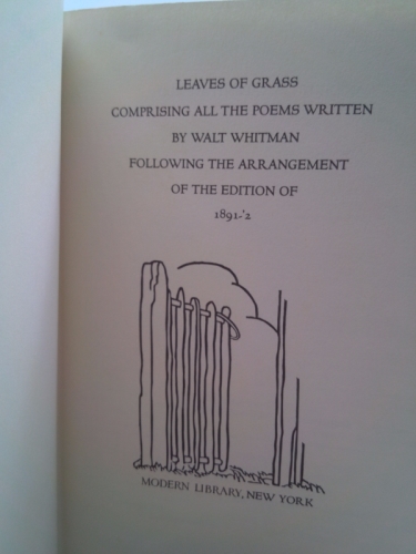 Actual Product Display 2