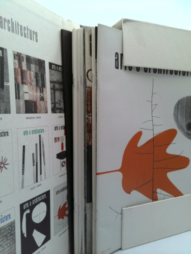 Actual Product Display 3