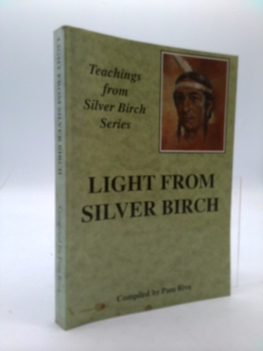 Light from Silver Birch