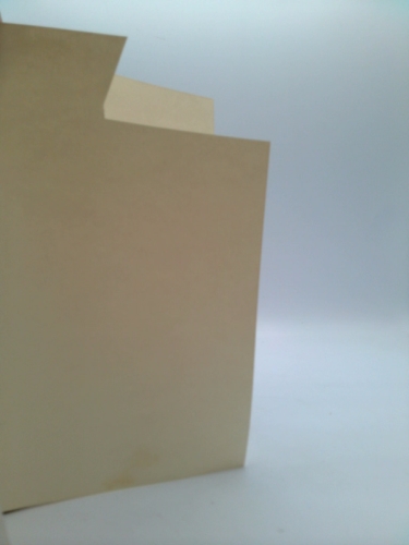 Actual Product Display 2