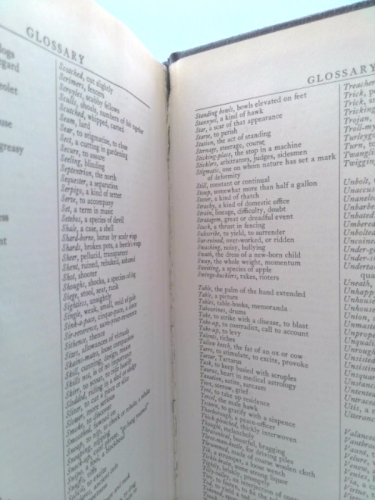 Actual Product Display 3