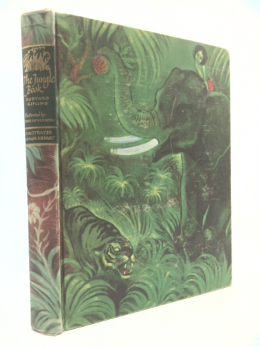 Actual Product Display Primary Cover