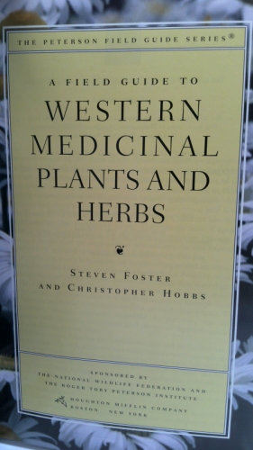 Actual Product Display 2