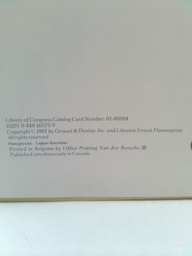 Actual Product Display 2