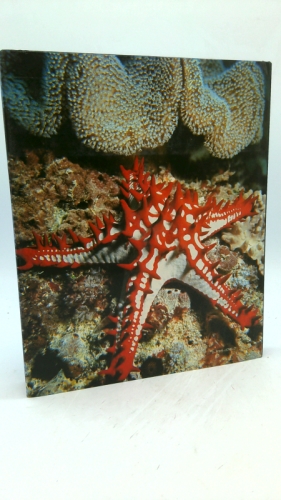 Actual Product Display 3