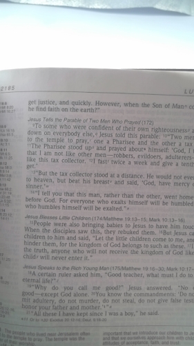 Actual Product Display 3