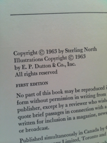 Actual Product Display 2