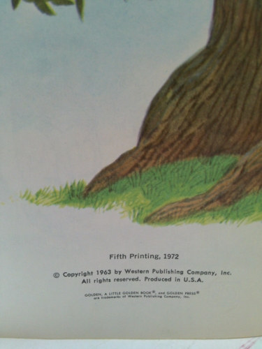 Actual Product Display 2