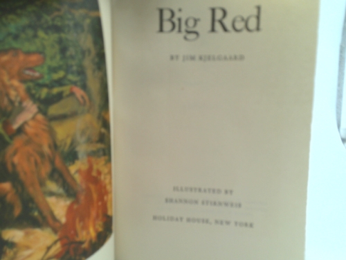 Actual Product Display 2