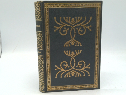 Actual Product Display Primary Cover