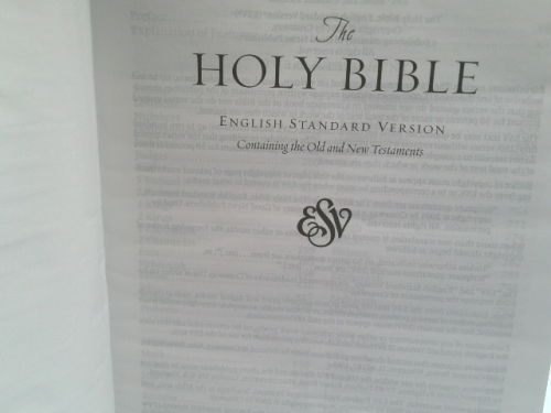 Actual Product Display 2