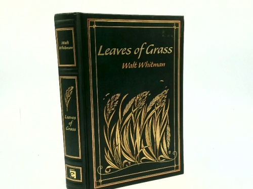 Actual Product Display Primary Cover