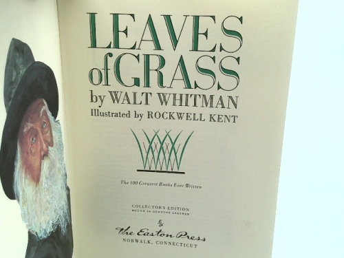 Actual Product Display 2