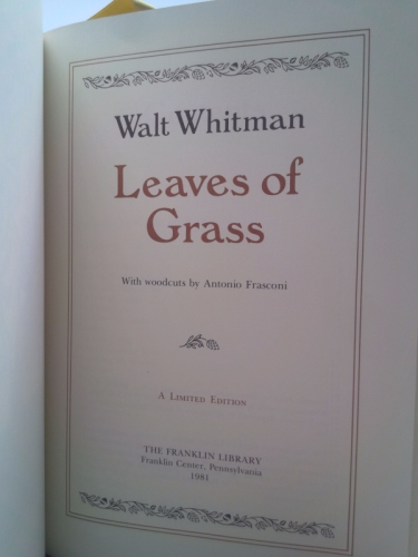 Actual Product Display 2