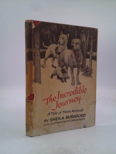 Young America book club presents the incredible journey