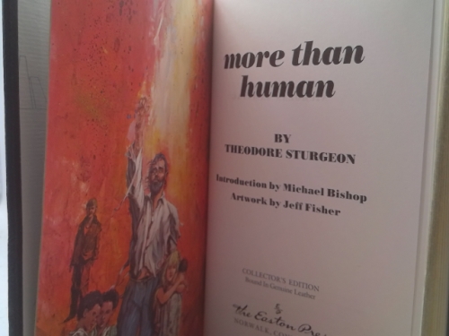 Actual Product Display 2