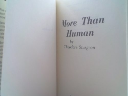 Actual Product Display 2