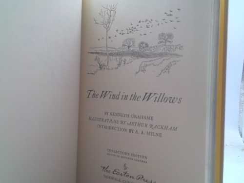 Actual Product Display 2