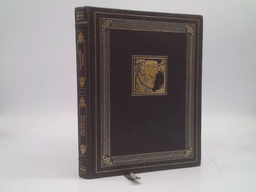 Actual Product Display Primary Cover