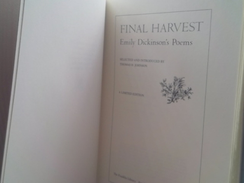 Actual Product Display 2