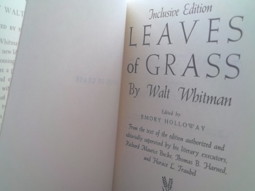 Actual Product Display 2