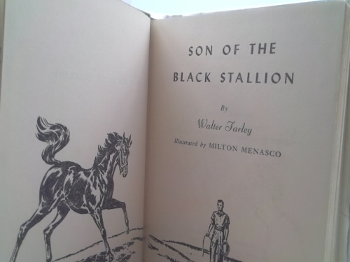 Actual Product Display 2