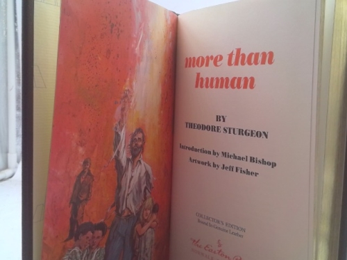 Actual Product Display 2