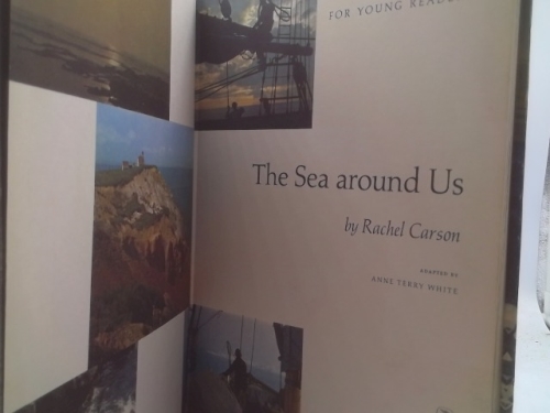 Actual Product Display 2