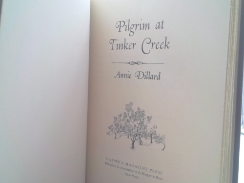 Actual Product Display 2