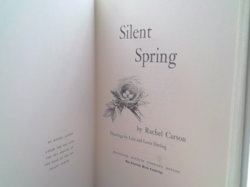 Actual Product Display 2