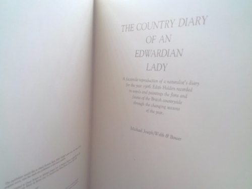 Actual Product Display 2