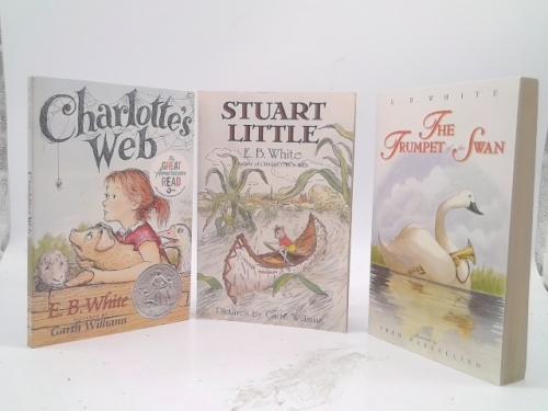 Actual Product Display Primary Cover