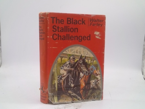 The Black Stallion Challenged
