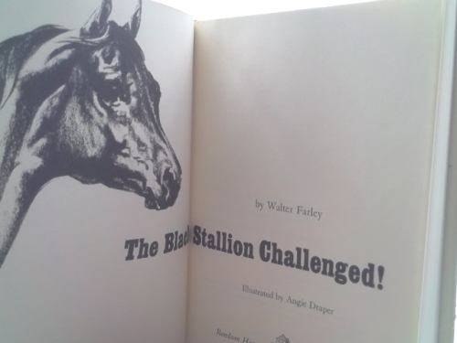 Actual Product Display 2