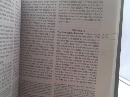 Actual Product Display 3