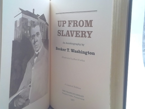 Actual Product Display 2