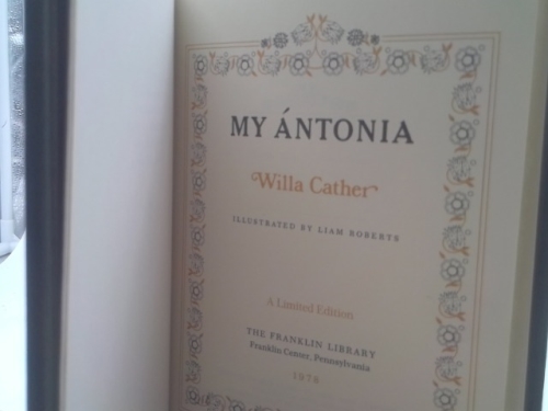 Actual Product Display 2