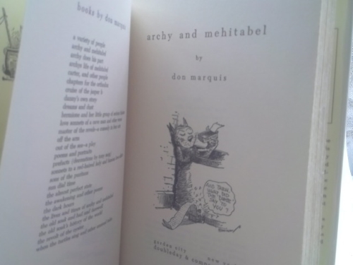 Actual Product Display 2