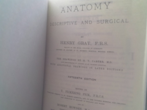 Actual Product Display 2