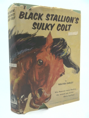 Black Stallion's Sulky Colt