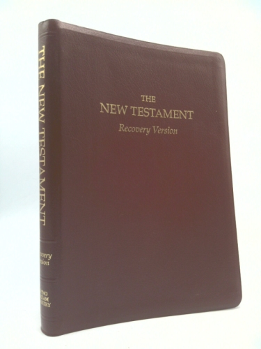 Recovery New Testament-OE Book Cover