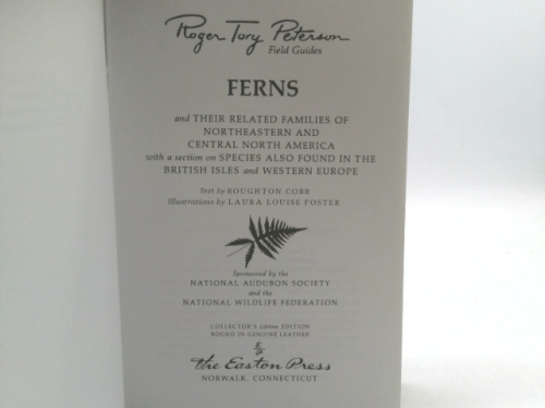 Actual Product Display 2