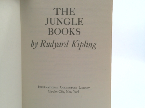 Actual Product Display 2